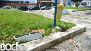 imagem da galeria