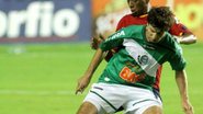 imagem da galeria