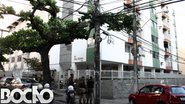 imagem da galeria