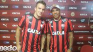 imagem da galeria