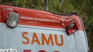 imagem da galeria