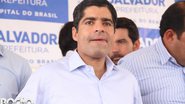 imagem da galeria