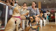 imagem da galeria