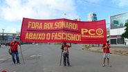 imagem da galeria