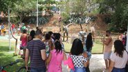 imagem da galeria
