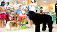 imagem da galeria