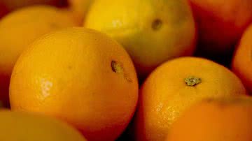 Elza Fiúza/Agência Brasil