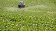 Agricultura RS/ Fernando Dias