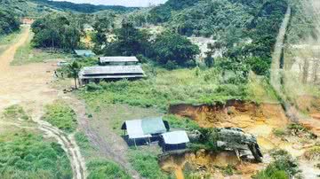 Reprodução/Instagram Dario Kopenawa