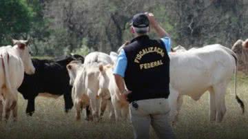 Divulgação/ ANFFA Sindical