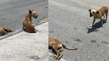 Reprodução / Redes Sociais