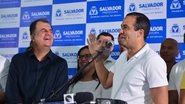 imagem da galeria
