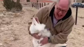 Reprodução / TikTok