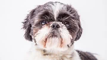 Foto Ilustrativa/Pixabay