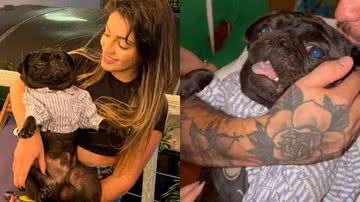 Reprodução/TikTok @scoobydogoficial