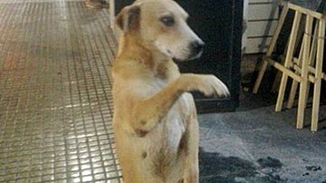 Reprodução/Facebook/Carolina Sal