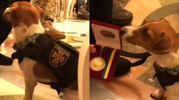 Reprodução/YouTube/Roman Sukhan