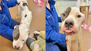 Reprodução / Facebook