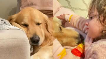 Reprodução/TikTok @vidadebuda