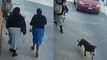 Reprodução/TikTok @agustin_next