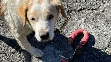 Reprodução / Redes Sociais