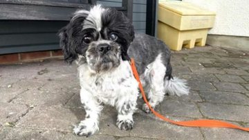 Reprodução/Mirror/Bradley Flory