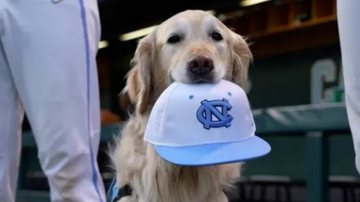 Arquivo / UNC Athletics