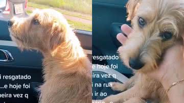 Reprodução/TikTok @ana.patzlaff