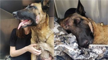 Reprodução / Instagram