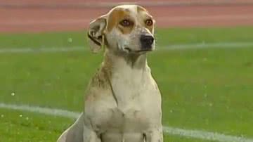 Twitter/@TNTSportsCL