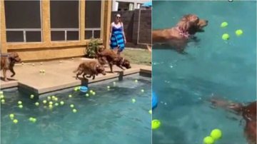 Reprodução/TikTok - Camille Griffith