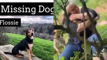 Reprodução/Facebook/Bracken Jelier