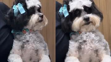 Reprodução/TikTok @1entremuitos