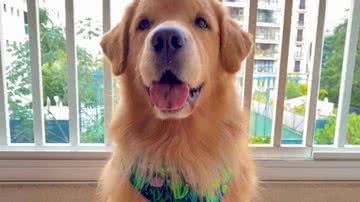 Reprodução/TikTok @joabcr