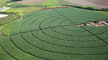 Raylton Alves/Agência Ana