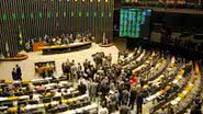 Reprodução/ site Câmara Legislativa
