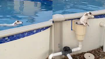 Reprodução/TikTok @melissaksims