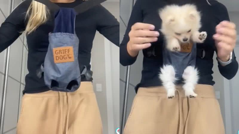 Reprodução/TikTok @lauraschadeck