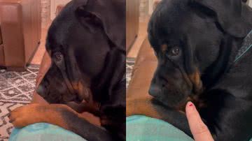 Reprodução/TikTok @candaniels