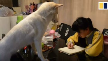 (Foto: Reprodução/Youtube/South China Morning Post)