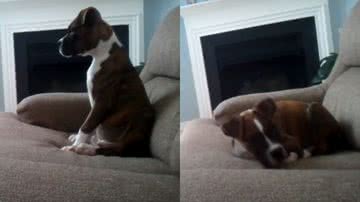 Reprodução/Youtube @panamagirl80