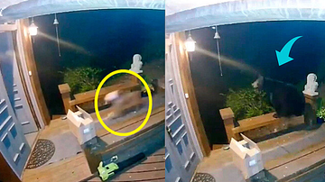 Reprodução / YouTube