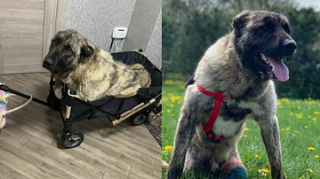 Reprodução / Instagram