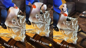 Reprodução / TikTok