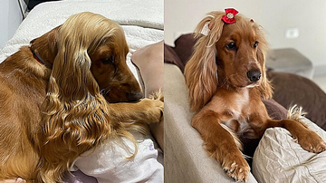 Reprodução / Instagram