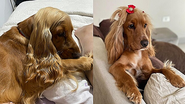 Reprodução / Instagram