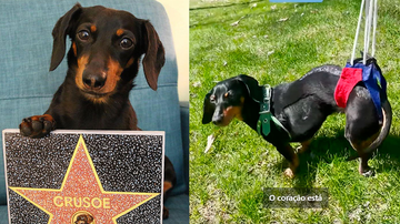 Reprodução / Redes Sociais