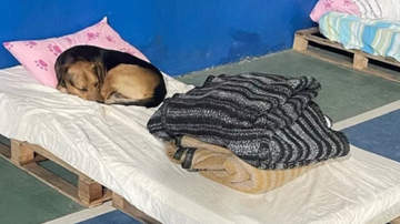 Prefeitura de Várzea Paulista / Divulgação