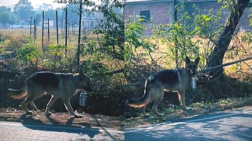 Reprodução / Instagram