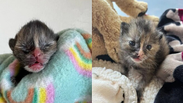 Reprodução / Instagram